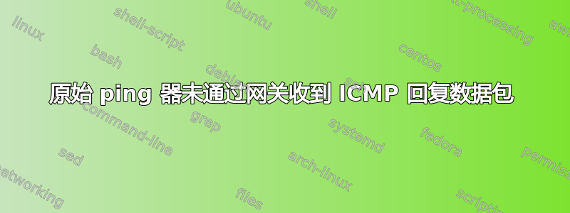 原始 ping 器未通过网关收到 ICMP 回复数据包