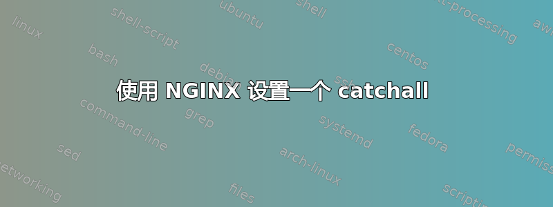 使用 NGINX 设置一个 catchall