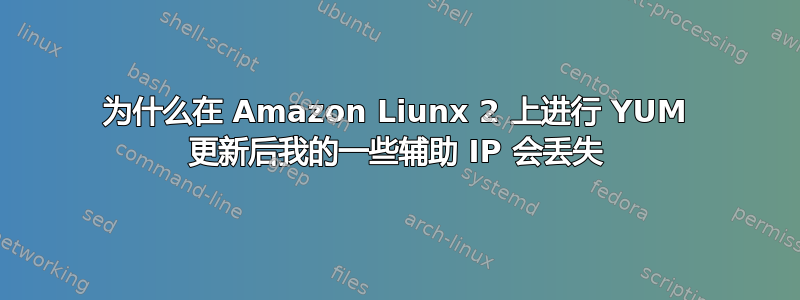 为什么在 Amazon Liunx 2 上进行 YUM 更新后我的一些辅助 IP 会丢失