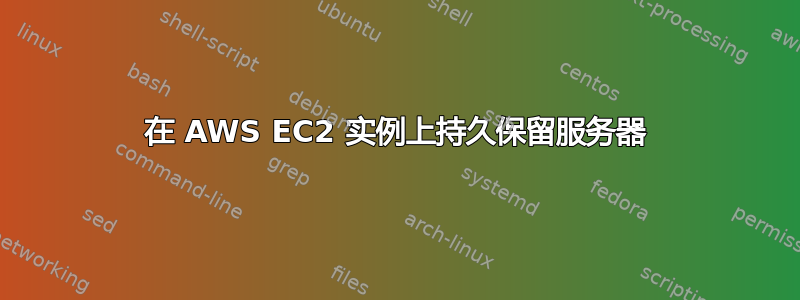 在 AWS EC2 实例上持久保留服务器