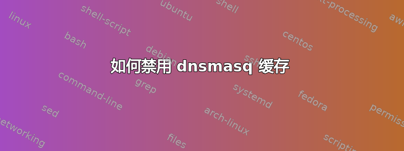 如何禁用 dnsmasq 缓存