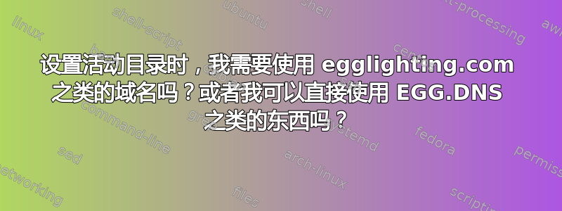 设置活动目录时，我需要使用 egglighting.com 之类的域名吗？或者我可以直接使用 EGG.DNS 之类的东西吗？