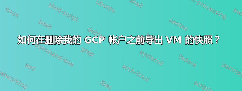 如何在删除我的 GCP 帐户之前导出 VM 的快照？