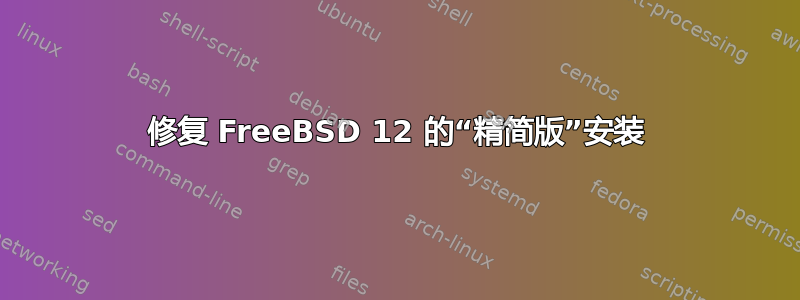 修复 FreeBSD 12 的“精简版”安装