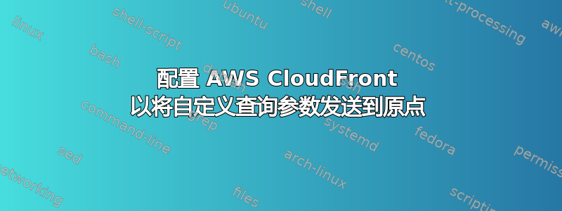 配置 AWS CloudFront 以将自定义查询参数发送到原点