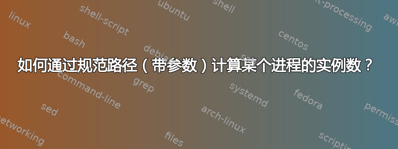 如何通过规范路径（带参数）计算某个进程的实例数？