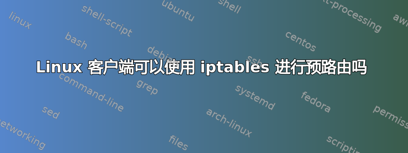 Linux 客户端可以使用 iptables 进行预路由吗