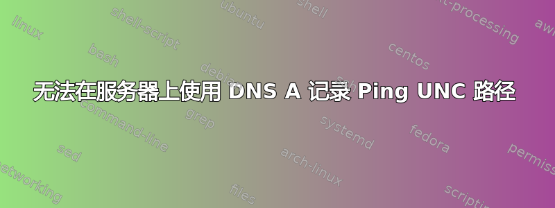 无法在服务器上使用 DNS A 记录 Ping UNC 路径