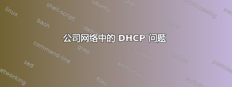 公司网络中的 DHCP 问题