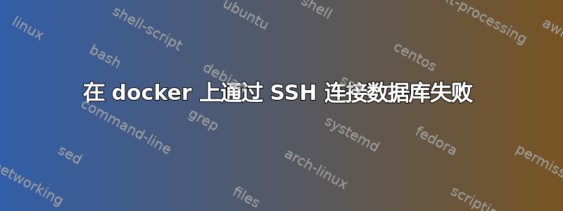 在 docker 上通过 SSH 连接数据库失败