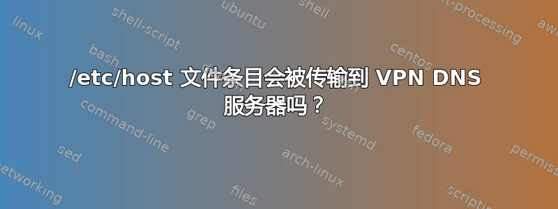 /etc/host 文件条目会被传输到 VPN DNS 服务器吗？