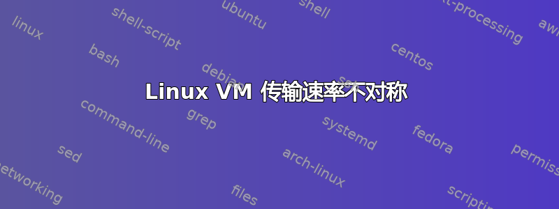 Linux VM 传输速率不对称