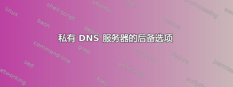 私有 DNS 服务器的后备选项