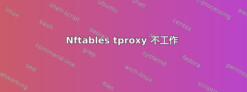 Nftables tproxy 不工作