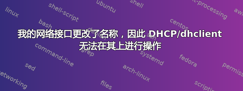 我的网络接口更改了名称，因此 DHCP/dhclient 无法在其上进行操作