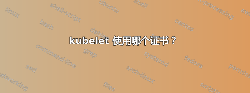 kubelet 使用哪个证书？