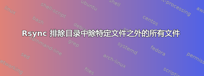 Rsync 排除目录中除特定文件之外的所有文件