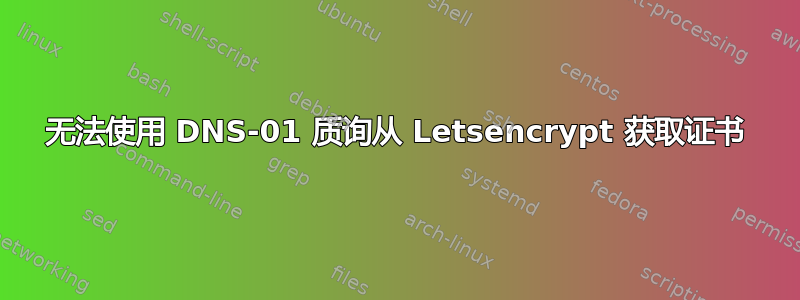 无法使用 DNS-01 质询从 Letsencrypt 获取证书