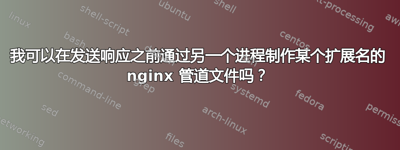 我可以在发送响应之前通过另一个进程制作某个扩展名的 nginx 管道文件吗？