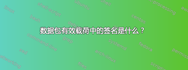 数据包有效载荷中的签名是什么？