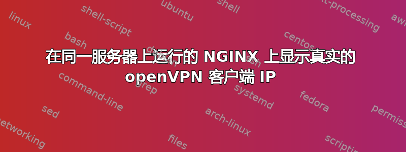 在同一服务器上运行的 NGINX 上显示真实的 openVPN 客户端 IP