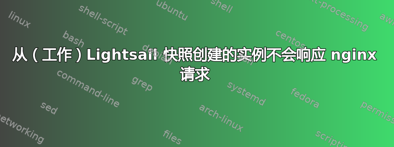 从（工作）Lightsail 快照创建的实例不会响应 nginx 请求