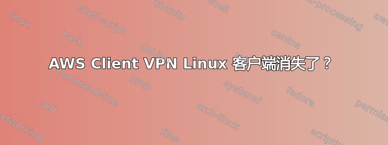 AWS Client VPN Linux 客户端消失了？