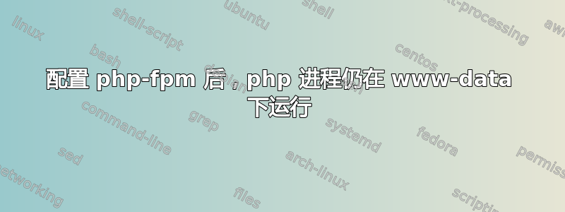 配置 php-fpm 后，php 进程仍在 www-data 下运行