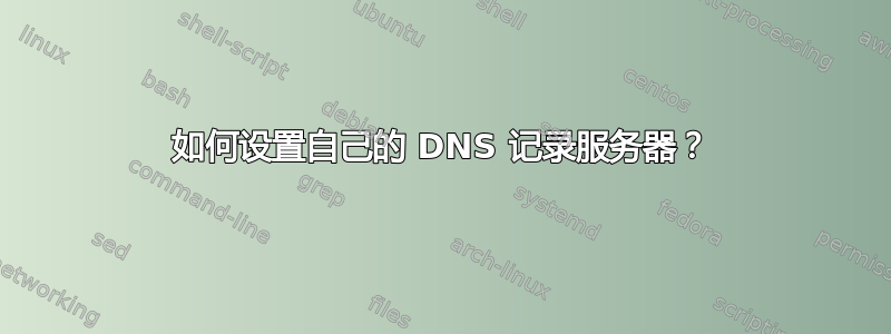 如何设置自己的 DNS 记录服务器？