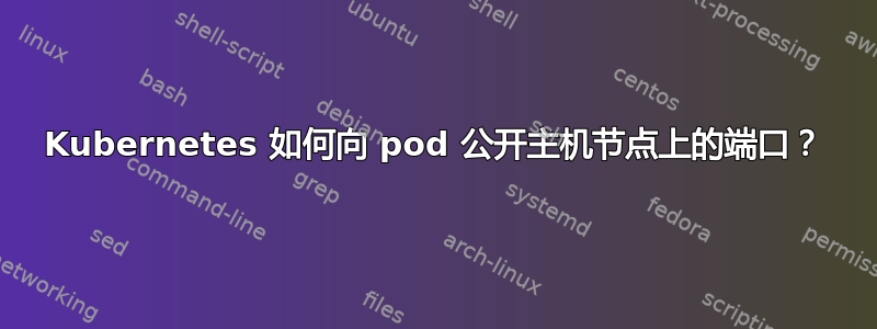 Kubernetes 如何向 pod 公开主机节点上的端口？