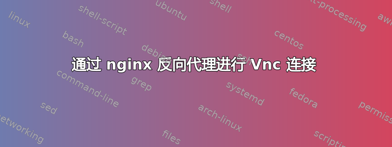 通过 nginx 反向代理进行 Vnc 连接