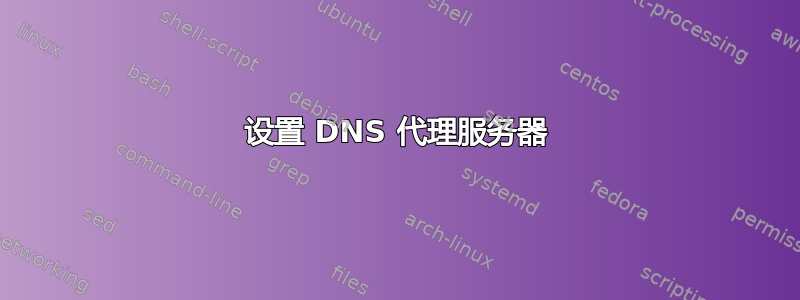 设置 DNS 代理服务器