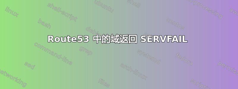 Route53 中的域返回 SERVFAIL