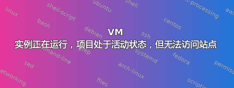 VM 实例正在运行，项目处于活动状态，但无法访问站点