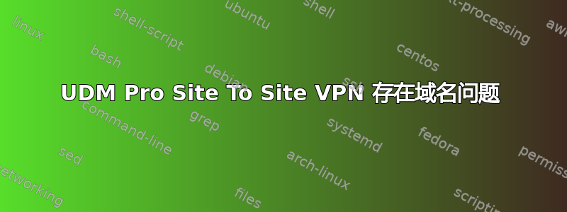 UDM Pro Site To Site VPN 存在域名问题