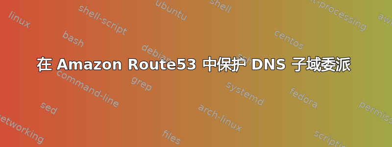 在 Amazon Route53 中保护 DNS 子域委派