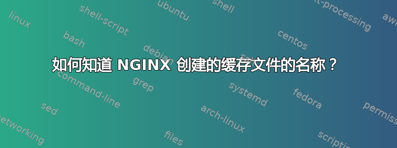 如何知道 NGINX 创建的缓存文件的名称？