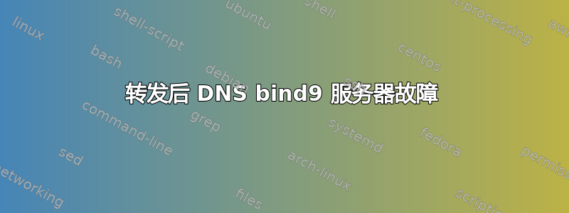 转发后 DNS bind9 服务器故障