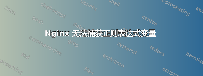 Nginx 无法捕获正则表达式变量