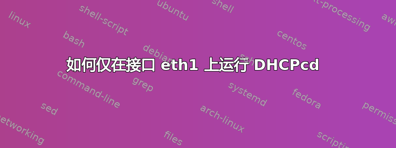 如何仅在接口 eth1 上运行 DHCPcd 