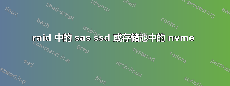 raid 中的 sas ssd 或存储池中的 nvme