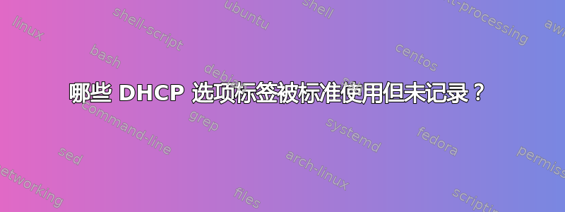 哪些 DHCP 选项标签被标准使用但未记录？