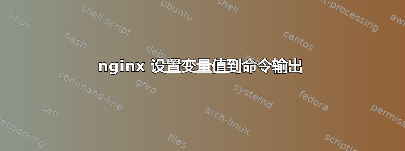 nginx 设置变量值到命令输出