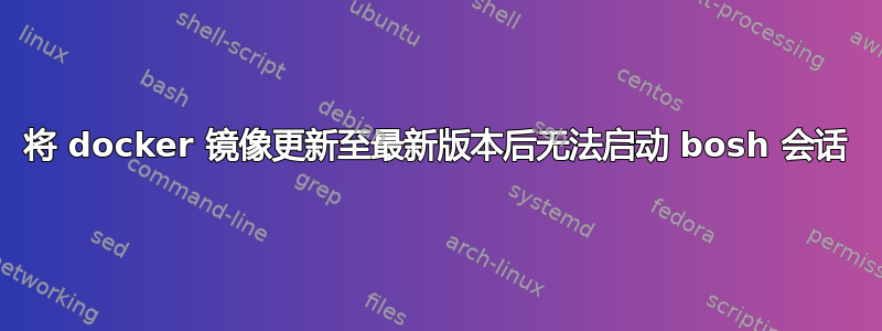 将 docker 镜像更新至最新版本后无法启动 bosh 会话