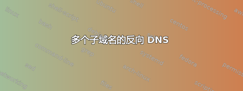 多个子域名的反向 DNS