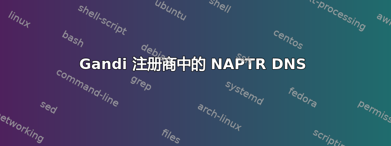 Gandi 注册商中的 NAPTR DNS