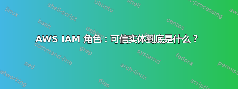 AWS IAM 角色：可信实体到底是什么？