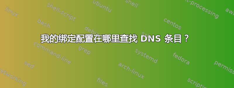 我的绑定配置在哪里查找 DNS 条目？