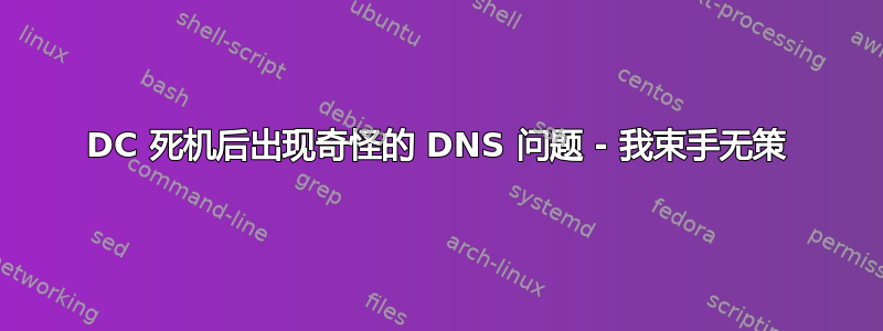 DC 死机后出现奇怪的 DNS 问题 - 我束手无策