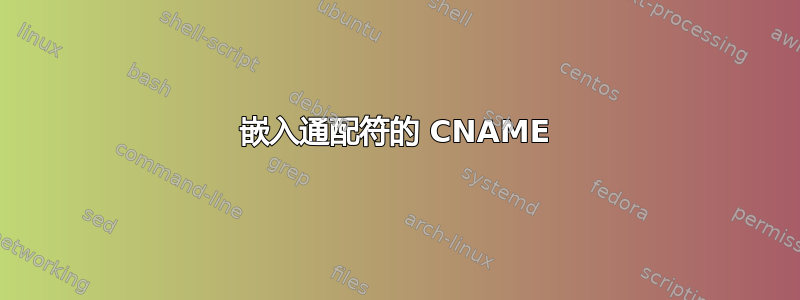 嵌入通配符的 CNAME